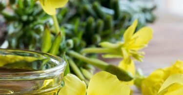 Evening Primrose Oil