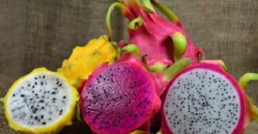 Dragon Fruits